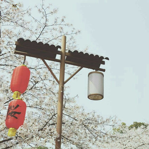 亚洲男同壮熊自慰网站
