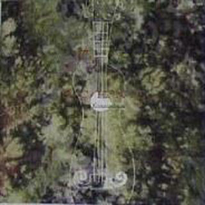 亚洲男同壮熊自慰网站
