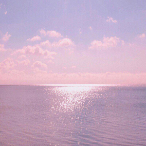 亚洲男同壮熊自慰网站
